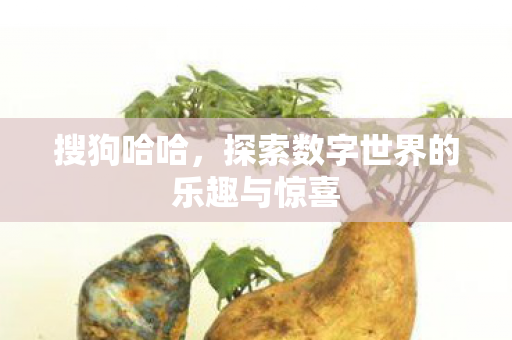 搜狗哈哈，探索数字世界的乐趣与惊喜