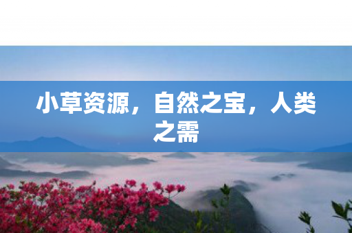 小草资源,自然之宝,人类之需 小草资源,自然之宝,人类之需
