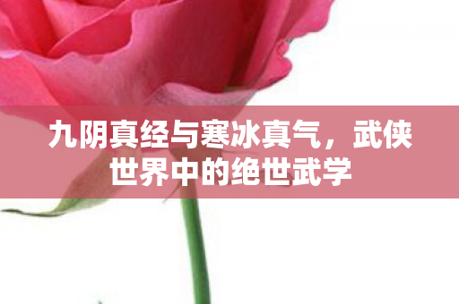 九阴真经与寒冰真气,武侠世界中的绝世武学 九阴真经与寒冰真气,武侠世界中的绝世武学