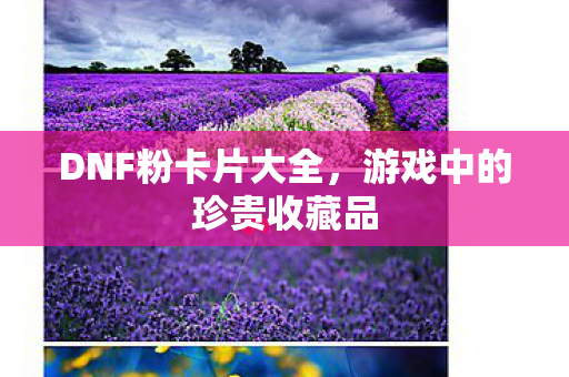 DNF粉卡片大全,游戏中的珍贵收藏品 DNF粉卡片大全,游戏中的珍贵收藏品