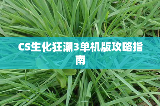 CS生化狂潮3单机版攻略指南 CS生化狂潮3单机版攻略指南