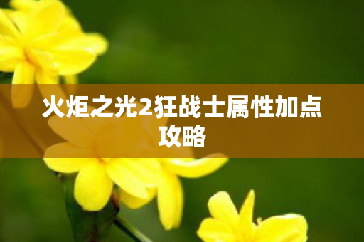 火炬之光2狂战士属性加点攻略 火炬之光2狂战士属性加点攻略