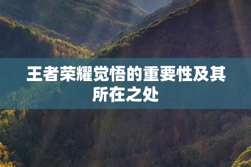 王者荣耀觉悟的重要性及其所在之处 王者荣耀觉悟的重要性及其所在之处