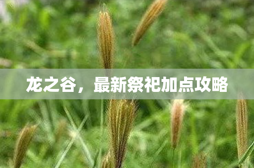 龙之谷,最新祭祀加点攻略 龙之谷,最新祭祀加点攻略
