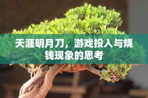 天涯明月刀,游戏投入与烧钱现象的思考 天涯明月刀,游戏投入与烧钱现象的思考