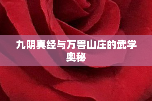 九阴真经与万兽山庄的武学奥秘 九阴真经与万兽山庄的武学奥秘