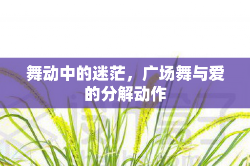 舞动中的迷茫,广场舞与爱的分解动作 舞动中的迷茫,广场舞与爱的分解动作