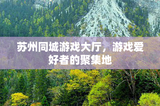 苏州同城游戏大厅,游戏爱好者的聚集地 苏州同城游戏大厅,游戏爱好者的聚集地