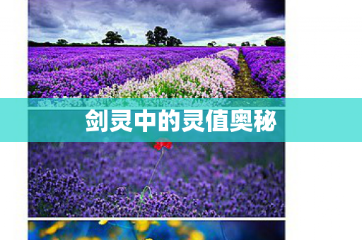 剑灵中的灵值奥秘 剑灵中的灵值奥秘
