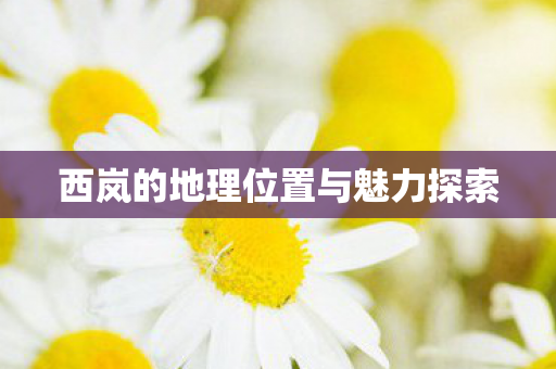 西岚的地理位置与魅力探索 西岚的地理位置与魅力探索
