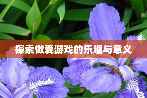 探索做爱游戏的乐趣与意义 探索做爱游戏的乐趣与意义