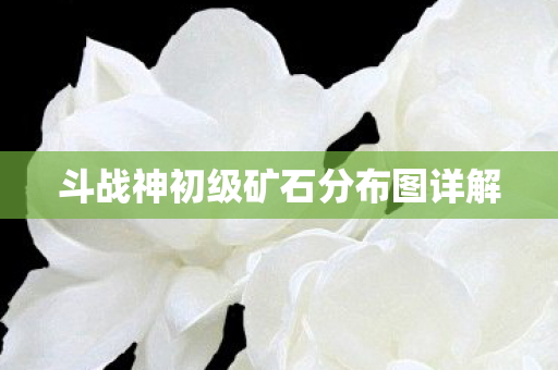 斗战神初级矿石分布图详解 斗战神初级矿石分布图详解
