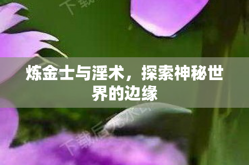 炼金士与淫术,探索神秘世界的边缘 炼金士与淫术,探索神秘世界的边缘