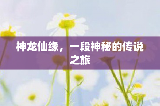 神龙仙缘,一段神秘的传说之旅 神龙仙缘,一段神秘的传说之旅