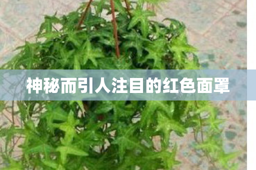神秘而引人注目的红色面罩 神秘而引人注目的红色面罩