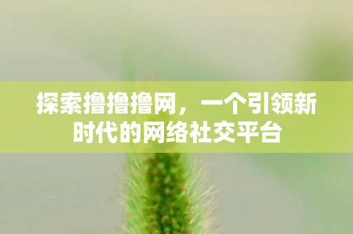 探索撸撸撸网，一个引领新时代的网络社交平台