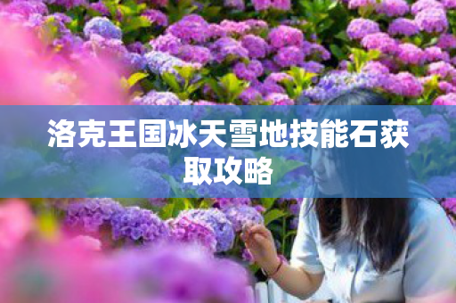 洛克王国冰天雪地技能石获取攻略 洛克王国冰天雪地技能石获取攻略