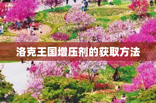 洛克王国增压剂的获取方法 洛克王国增压剂的获取方法
