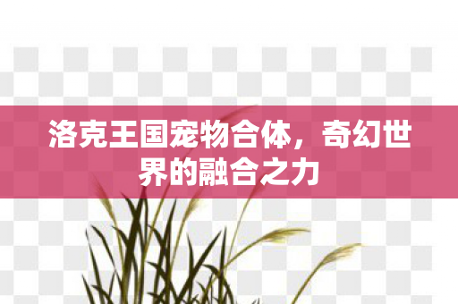 洛克王国宠物合体,奇幻世界的融合之力 洛克王国宠物合体,奇幻世界的融合之力
