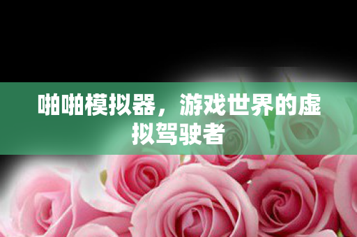 啪啪模拟器,游戏世界的虚拟驾驶者 啪啪模拟器,游戏世界的虚拟驾驶者