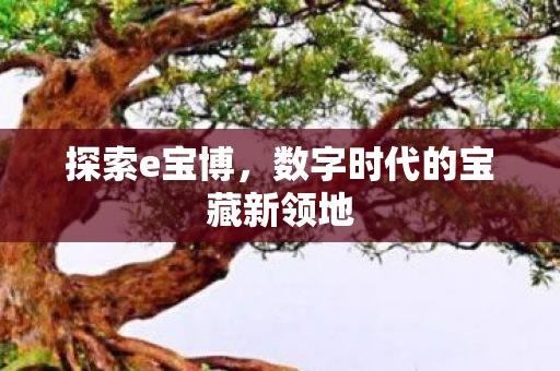 探索e宝博,数字时代的宝藏新领地 探索e宝博,数字时代的宝藏新领地