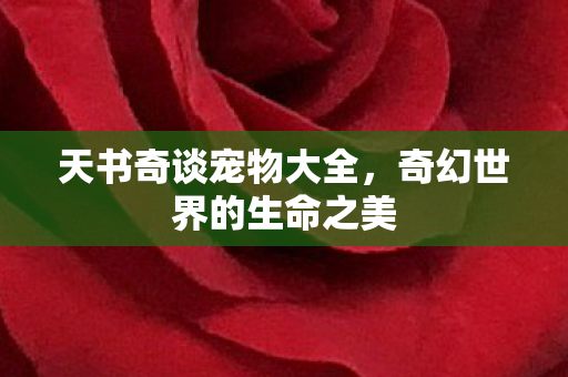 天书奇谈宠物大全,奇幻世界的生命之美 天书奇谈宠物大全,奇幻世界的生命之美