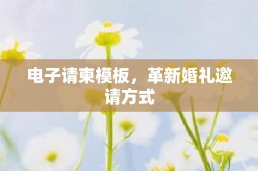 电子请柬模板,革新婚礼邀请方式 电子请柬模板,革新婚礼邀请方式