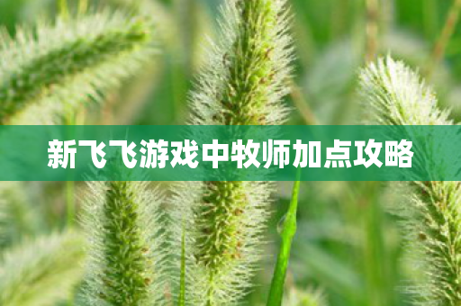 新飞飞游戏中牧师加点攻略 新飞飞游戏中牧师加点攻略