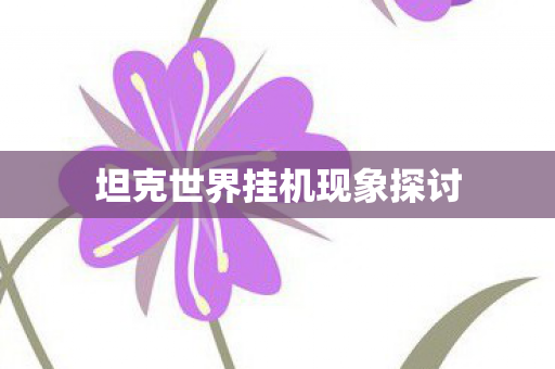 坦克世界挂机现象探讨