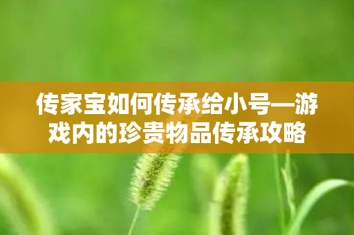 传家宝如何传承给小号—游戏内的珍贵物品传承攻略 传家宝如何传承给小号—游戏内的珍贵物品传承攻略