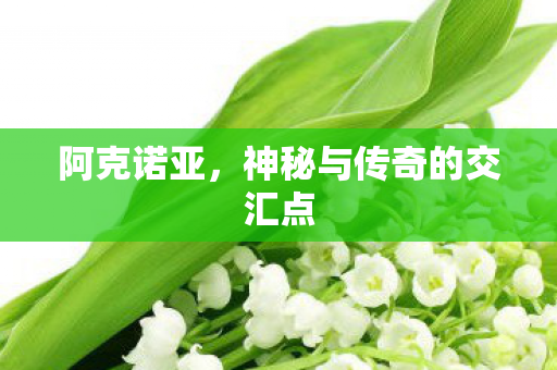阿克诺亚,神秘与传奇的交汇点 阿克诺亚,神秘与传奇的交汇点