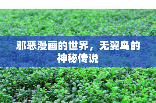 邪恶漫画的世界,无翼鸟的神秘传说 邪恶漫画的世界,无翼鸟的神秘传说