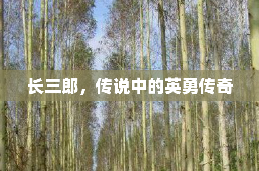 长三郎,传说中的英勇传奇 长三郎,传说中的英勇传奇