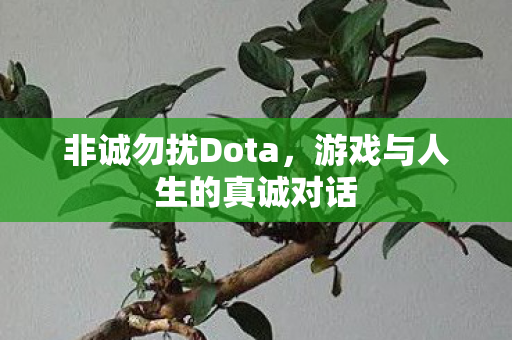 非诚勿扰Dota,游戏与人生的真诚对话 非诚勿扰Dota,游戏与人生的真诚对话