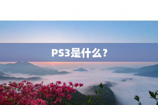PS3是什么? PS3是什么?