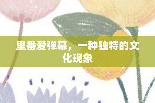 里番爱弹幕，一种独特的文化现象