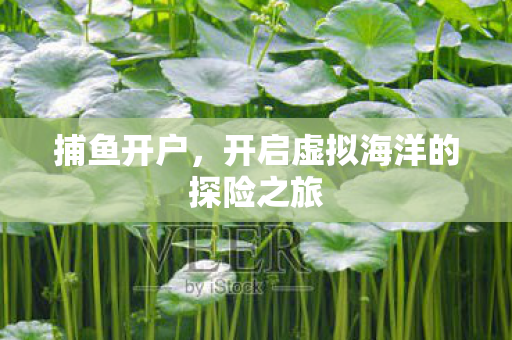 捕鱼开户,开启虚拟海洋的探险之旅 捕鱼开户,开启虚拟海洋的探险之旅