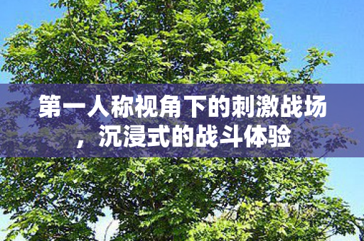 第一人称视角下的刺激战场，沉浸式的战斗体验