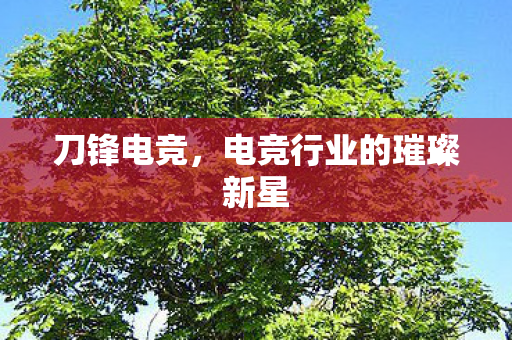 刀锋电竞,电竞行业的璀璨新星 刀锋电竞,电竞行业的璀璨新星