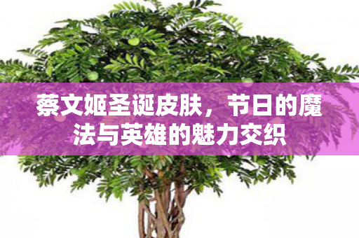 蔡文姬圣诞皮肤，节日的魔法与英雄的魅力交织