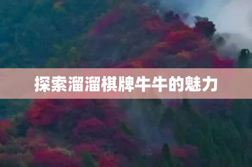探索溜溜棋牌牛牛的魅力 探索溜溜棋牌牛牛的魅力