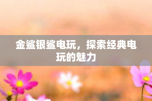 金鲨银鲨电玩,探索经典电玩的魅力 金鲨银鲨电玩,探索经典电玩的魅力