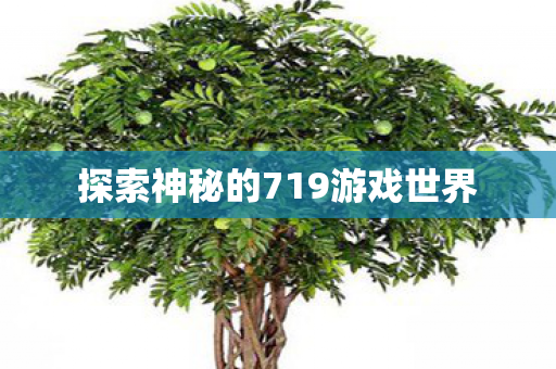 探索神秘的719游戏世界 探索神秘的719游戏世界