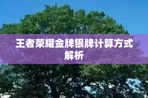 王者荣耀金牌银牌计算方式解析