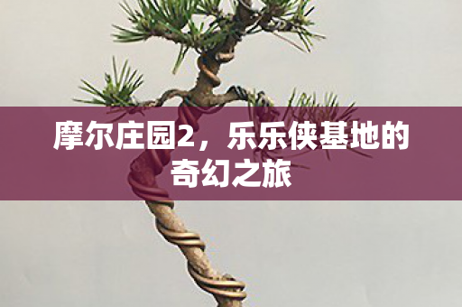 摩尔庄园2,乐乐侠基地的奇幻之旅 摩尔庄园2,乐乐侠基地的奇幻之旅