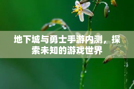 地下城与勇士手游内测，探索未知的游戏世界