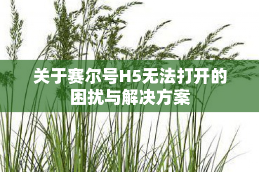 关于赛尔号H5无法打开的困扰与解决方案 关于赛尔号H5无法打开的困扰与解决方案