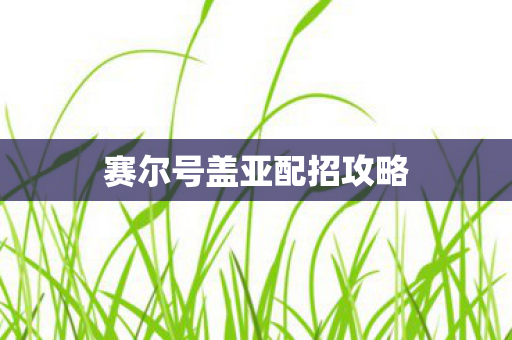 赛尔号盖亚配招攻略