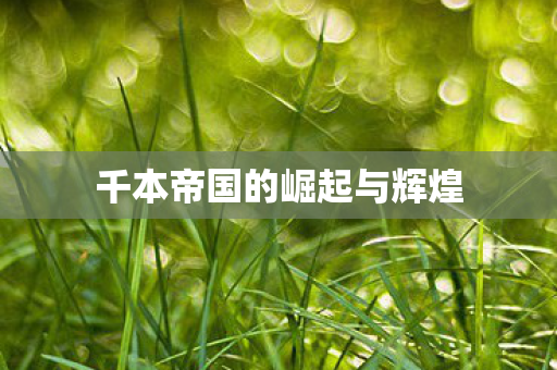 千本帝国的崛起与辉煌