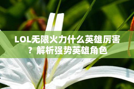 LOL无限火力什么英雄厉害?解析强势英雄角色 LOL无限火力什么英雄厉害?解析强势英雄角色